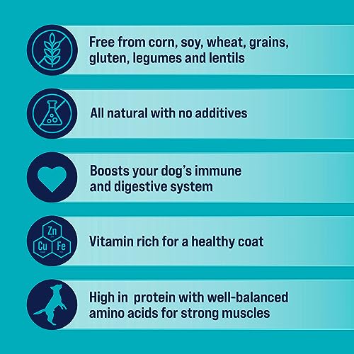 Beef Liver Dog Training Treats - 21oz Tub