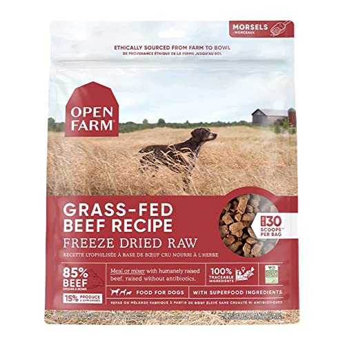 Open Farm Freeze Dried Raw Dog Food - Beef 3.5oz