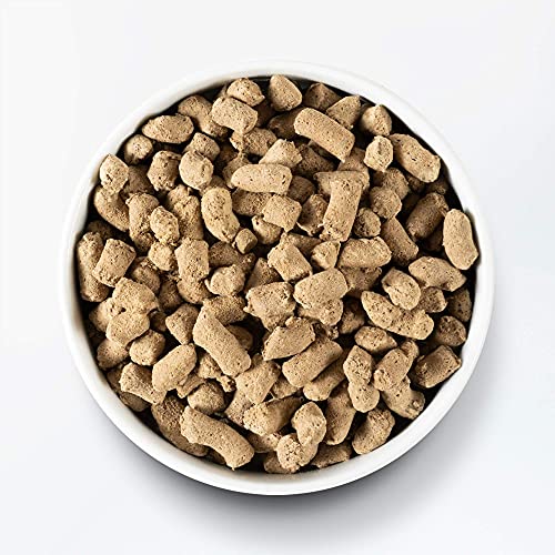 Open Farm Freeze Dried Raw Dog Food - Beef 3.5oz