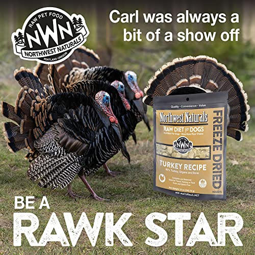 Northwest Naturals Freeze Dried Turkey Dog Food - 12 Oz