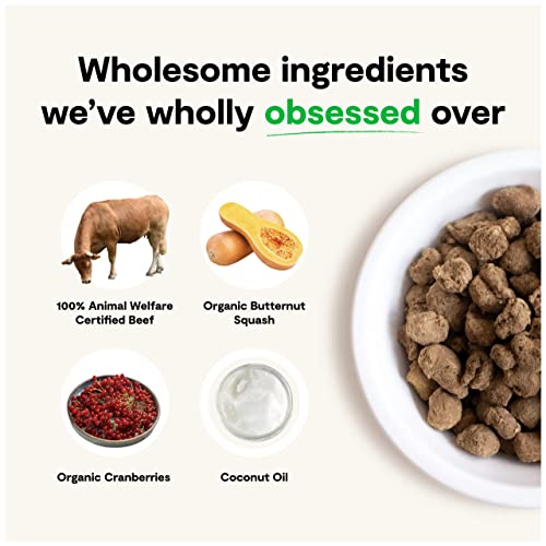 Open Farm Freeze Dried Raw Dog Food - Beef 3.5oz