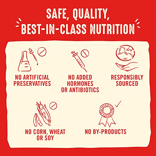 Stella & Chewy’s Freeze Dried Raw Dog Food – 25 oz Duck Recipe