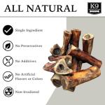 Large Breed Aggressive Chewers: USA Made Single Ingredient Raw Dog Bones