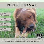 Large Breed Aggressive Chewers: USA Made Single Ingredient Raw Dog Bones