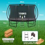 10FT LeJump Recreational Trampoline with Enclosure Net