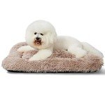 Medium Washable Dog Bed for Crate and Home