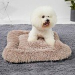 Medium Washable Dog Bed for Crate and Home