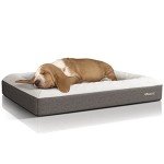 iMedic Medium Orthopedic Memory Foam Dog Bed