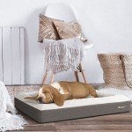 iMedic Medium Orthopedic Memory Foam Dog Bed