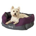Bunty Anchor Plush Dog & Cat Bed - Medium