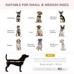 Elevated Dog Sofa Bed with Washable Cushion