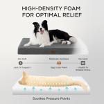 Large Washable Orthopedic Dog Bed with Sherpa Cover