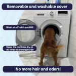 Giesty Orthopedic Waterproof Dog Bed for Medium Dogs