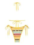 Colorblock Triangle Halter Cheeky Bikini Set