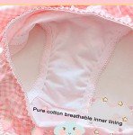 ZooChest 2 Piece Lingerie Silk Lingerie Set for Women Bow Tie Bra and Panty Sets Japanese AV Star Same Underwear Pink
