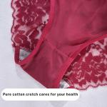 Plus Size Meshal Lace Cheeky Bikini Panties 4-Pack