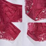 Plus Size Meshal Lace Cheeky Bikini Panties 4-Pack
