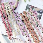 Moly Story Floral Lace Bra Straps - 5 Pack