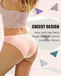 9 Pack Cotton Cheeky Bikini Panties for Women