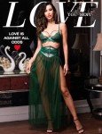 LOVE YOU SEXY Women Lace Lingerie Set,Lace Bra and Girdle with Long Sheer Mesh Dress Nightgown with G-String 4 Piece Lingerie Set Emerald 36D