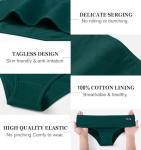6 Pack Women's Soft Cotton Low Rise Hipster Panties