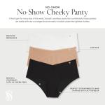 Victoria's Secret No Show Cheeky Underwear Multi Pack