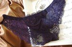 SnowFox Women's Lumiere Lace Push Up Embroidery Bras Set Lace Lingerie Bra and Panties - (Blue 34C)