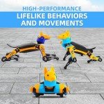 Bittle Robot Dog Kit for Coding and STEM