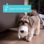 TP-Link Tapo 3K Smart Pan/Tilt Security Camera