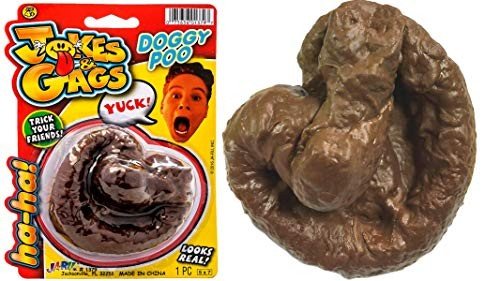 Fake Dog Poop