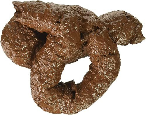Chunky Dog Doo Prank for Parties & Halloween