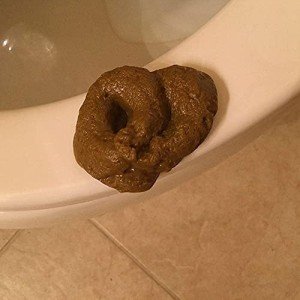 Realistic Fake Poop Toy for Hilarious Pranks