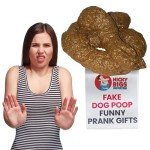 Deluxe Realistic Fake Dog Poop Prank Gift