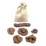 Realistic Fake Dog Poop Prank Props - 6 Pack