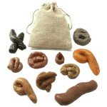 Realistic Fake Poo Prank - 10 Piece Set