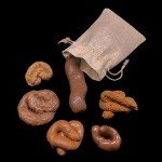 Realistic Fake Dog Poop Prank Props - 6 Pack
