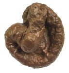 Realistic Fake Poop Toy for Hilarious Pranks