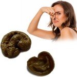 Realistic Fake Poop Toy for Hilarious Pranks