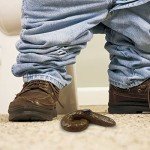 Hilarious Fake Dog Poo Prank Gift