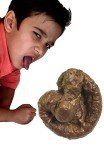 Realistic Fake Poop Toy for Hilarious Pranks