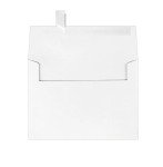 Funny BBQ Party Invitations with Envelopes