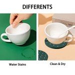 Funny Cactus Coasters Set with Flowerpot Holder