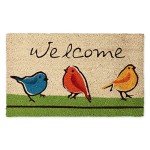 Funny Bird Welcome Mat for Outdoor Laughs