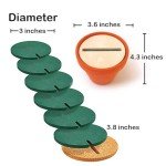 Cactus Drink Coaster Set with Flowerpot Holder