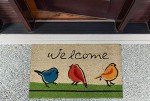 Funny Bird Welcome Mat for Outdoor Laughs