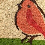Funny Bird Welcome Mat for Outdoor Laughs