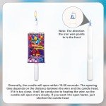 Funny Pop-Up Birthday Candle Surprise Set