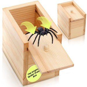 Hilarious Spider Prank Box for Gag Gifts