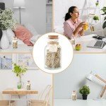 Jar of Nothing Gag Gift for April Fools’ Day