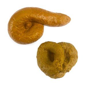 Realistic Fake Poop Prank Gag Gift - 2 Pack
